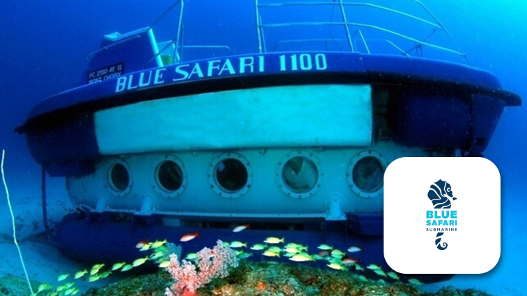 Submarine Trip image